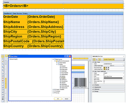 Stimulsoft Reports.Wpf,报表检测器,数据源,订单,修复报表